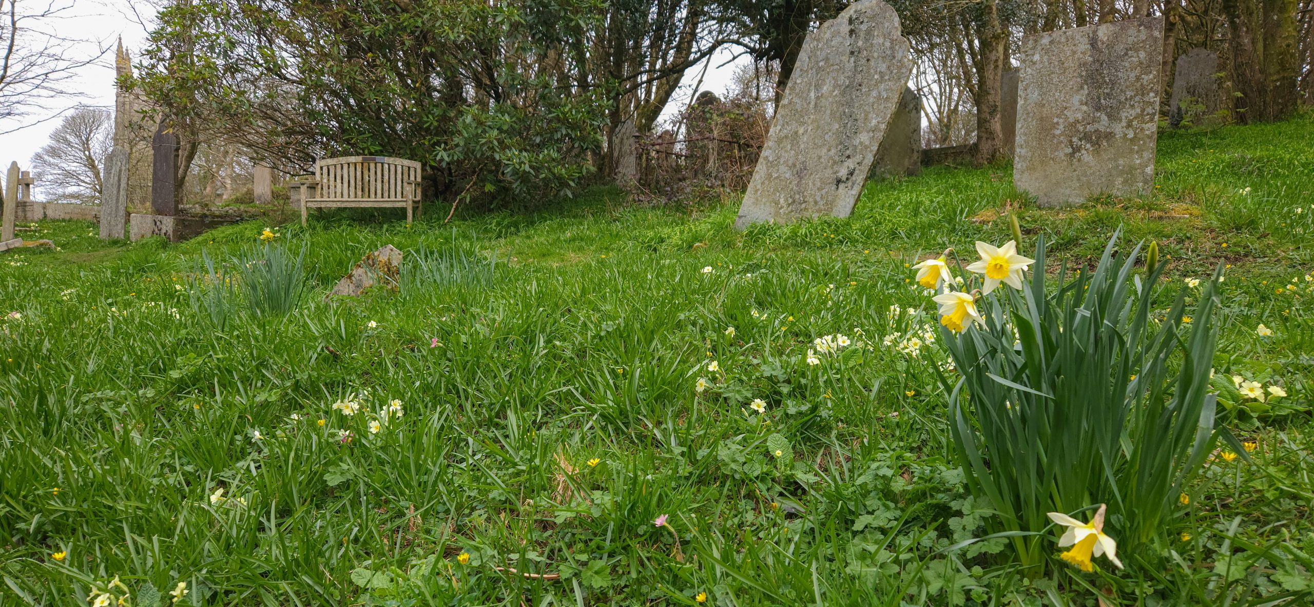Graveyard with poor disability access.